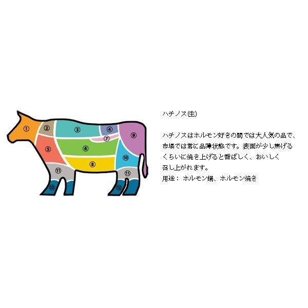 [凍]牛ハチノス約1kg メキシコ産 韓国焼肉 ホルモン