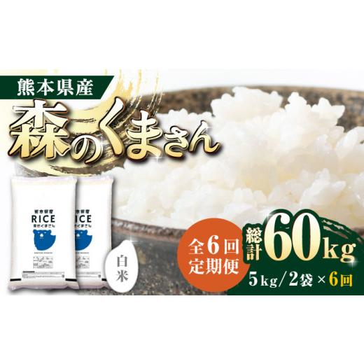 ふるさと納税 熊本県 山鹿市   森のくまさん 白米 10kg(5kg×2袋) 定期便 10kg 白米 精米 森のくまさん 特…