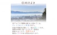 先行予約 フルーツ シャインマスカット 1房 ＆ 川中島白桃・川中島白鳳 各2玉 果物 デザート ぶどう 葡萄 ブドウ シャイン マスカット 桃 もも 白桃 セット 詰め合わせ 産地直送 信州 2023年秋発送