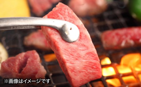 A5ランク 佐賀牛 高級 霜降り 焼肉用 ロース 340g 2人前  焼肉どすこい [UCC012] 佐賀牛 牛肉 黒毛和牛 佐賀牛焼肉 佐賀牛BBQ 佐賀牛340g 佐賀牛ウデ 佐賀牛赤身 佐賀牛うで 佐賀牛A5ランク A5佐賀牛 最高級佐賀牛