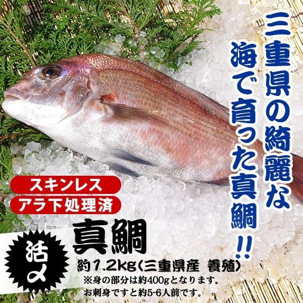 真鯛　捌いてお届けします　1.2ｋｇ　スキンレス、アラ下処理済（三重県産　養殖）[魚介類]