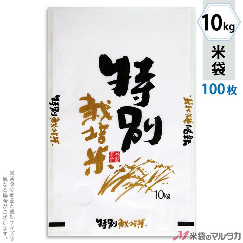 米袋 雲龍和紙 フレブレス 特別栽培米 自然がいちばん 10kg 1ケース MK-0251