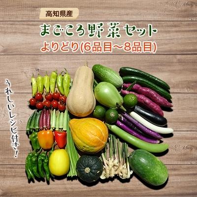 ふるさと納税 須崎市 南国高知より まごころ野菜セット