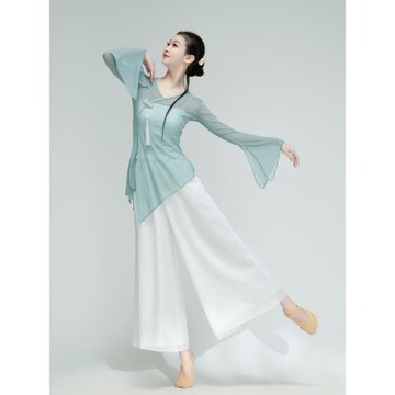 古典舞蹈服女 飄逸服裝演出服練功服身韻紗衣藝考基訓蟹殼青紗衣