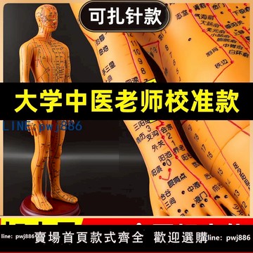 【便宜有好貨】針灸人體模型穴位人形標準十二經絡真人圖全身小銅人練習可扎針