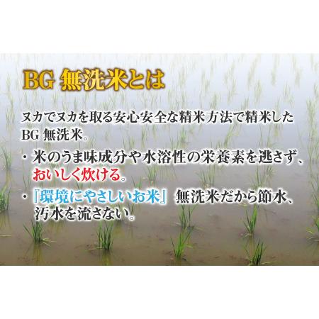 ふるさと納税 こしひかり10kg（5kg × 2袋） BG無洗米 滋賀県多賀町