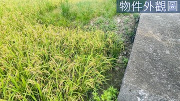 鳳林台九線旁農地25D179｜花蓮縣鳳林鎮北林段