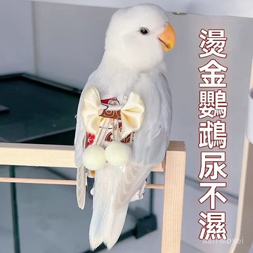 🔥鳥類專屬🔥鸚鵡飛行服 鸚鵡尿不濕 鸚鵡服飾 鸚鵡尿布 鸚鵡屎尿兜 飛行服帶牽引繩 鸚鵡外出牡丹鸚鵡糞便袋屁兜玄鳳虎皮鳥