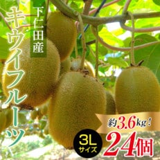 群馬県下仁田町産キウイフルーツ(24個入り 3Lサイズ)