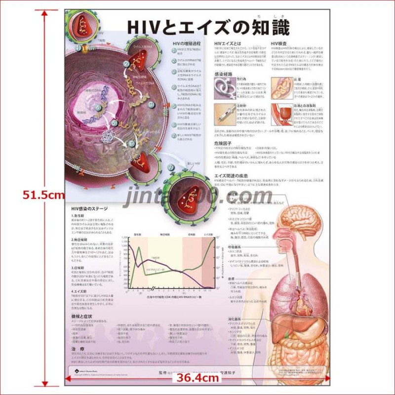 限定販売】 TERU ACエイズAIDS検査ポスター その他 - findbug.io