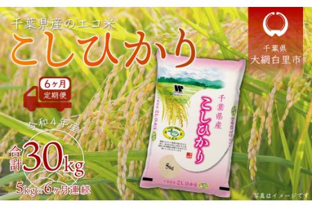 ＜6ヶ月定期便＞千葉県産エコ米「コシヒカリ」5kg×6ヶ月連続 計30kg