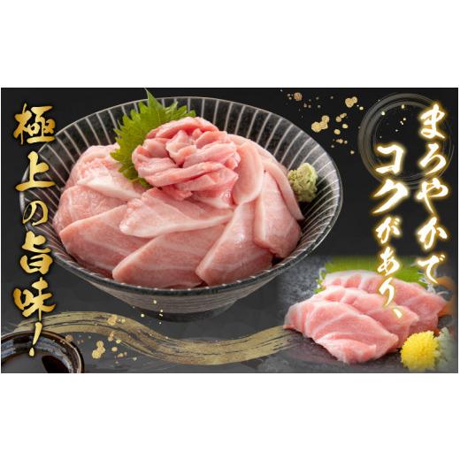 ふるさと納税 福井県 福井市 本まぐろセット 大トロ 300g   中トロ 300g   赤身 300g（すべて柵どり）【 計900g 鮪 マグロ 本マグ…