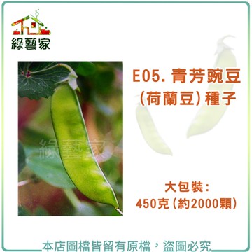 【綠藝家】大包裝E05.青芳豌豆(荷蘭豆)種子450克(約2000顆)荷蘭豆