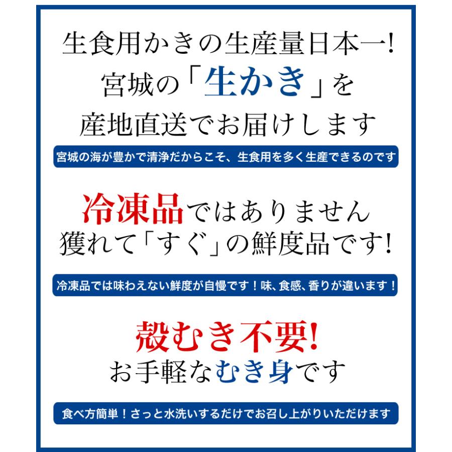 冷凍品ではありません！獲れたて新鮮な 生牡蠣（生食用 300g×2本）冷蔵 取り寄せ 生食 かき むき身