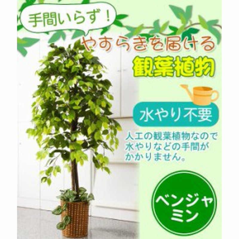 観葉植物 人工 室内 大型 おしゃれ 人工観葉植物 大型 グリーンインテリア 通販 Lineポイント最大1 0 Get Lineショッピング