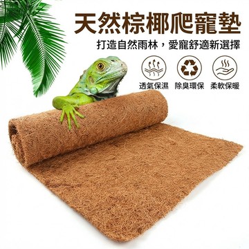 陸龜驛站｜椰棕墊 椰纖毯 椰纖長片 寵物墊 墊材 底材 墊料 造景 盆栽防草抑草 爬寵箱 排水 透氣 防滑 陸龜 蜥蜴