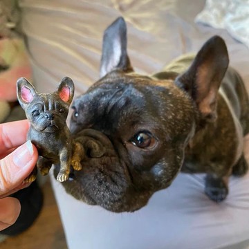 【客製化3D寵物紀念公仔】訂製手作似顏繪肖像狗狗貓咪毛小孩娃娃