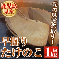 鹿児島県産 早掘りたけのこ(約1kg) 国産 野菜 たけのこ タケノコ 筍 旬 煮物 水煮 天ぷら つくだ煮 期間限定 7-17