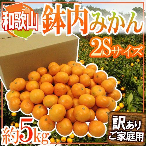 みかん 和歌山・有田産 ”鉢内みかん” 訳あり 2Sサイズ 約5kg はちうちみかん 送料無料