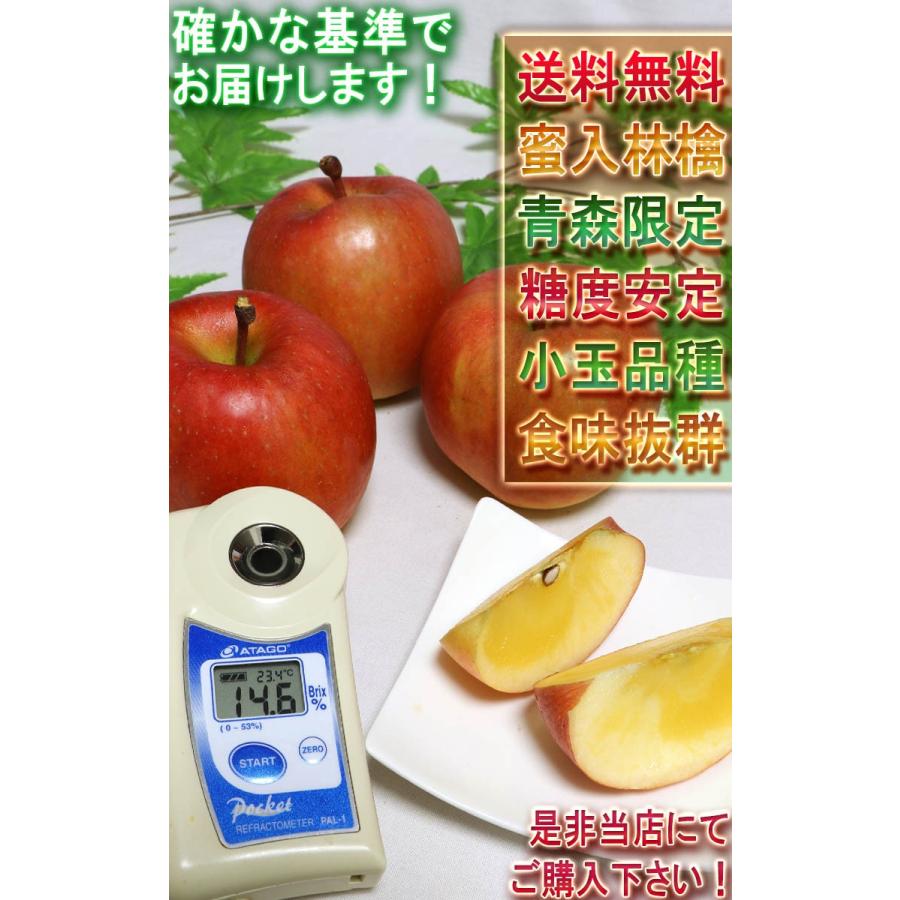 こみつ 葉とらず林檎 約5kg 16〜28玉 青森県産 訳あり品 JA津軽みらい 着色不足のため家庭用規格！蜜入りの果肉に高い糖度と濃厚な味