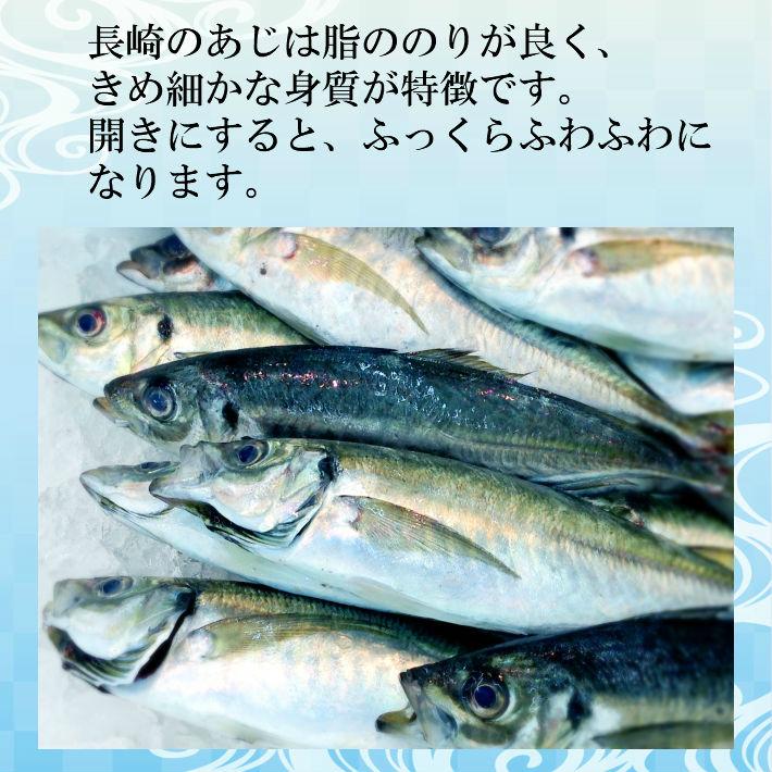 真あじの開き１枚 干物 国産 長崎県産 沼津干物  お取り寄せグルメ 魚 ご飯のお供 朝食 朝ごはん 酒の肴 おつまみ アジ 鯵 惣菜 和食 おかず 魚介 海鮮