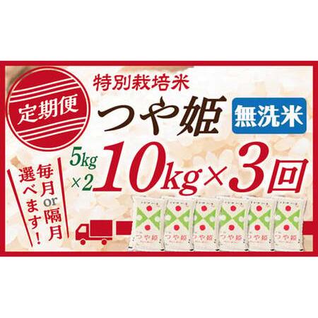 ふるさと納税 無洗米 つや姫 10kg(5kg×2) 3回配送 山形県最上町