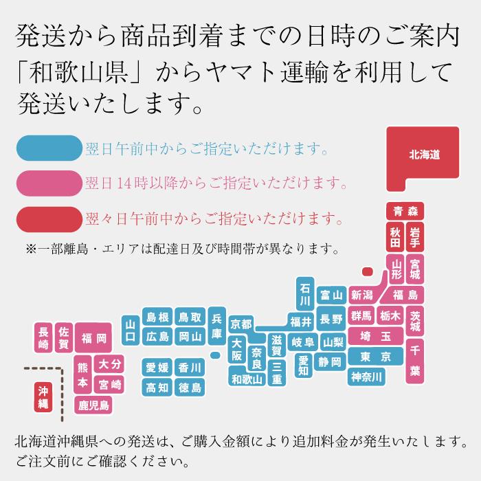 温州みかん 送料無料 多少キズあり ご家庭用 みかん 温州 紀南 ミカン 大玉 L 和歌山 フルーツ 果物 糖度 甘い 濃厚 家庭用 訳あり 紀の