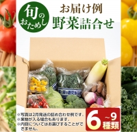 No.788 旬の野菜の詰め合わせ(6～9種類)