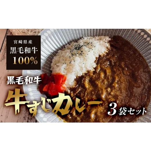 ふるさと納税 大阪府 豊中市 黒毛和牛牛すじカレー