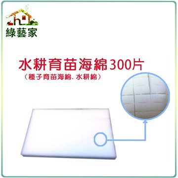 【綠藝家】水耕育苗海綿.泡綿(1片內切96塊)300片