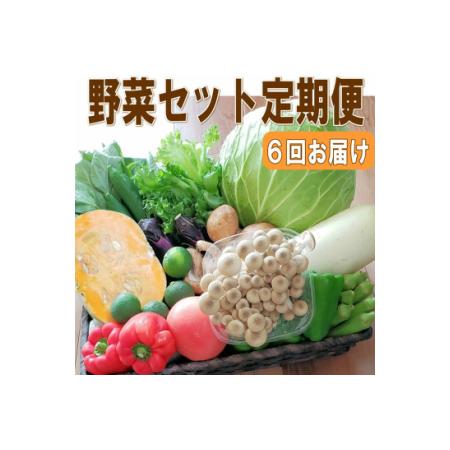 ふるさと納税 定期便 旬の新鮮野菜セットBたっぷり15品以上 和歌山県御坊市