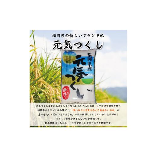 ふるさと納税 福岡県 添田町 福岡県産 元気つくし 無洗米 5kg(5kg×1) [a0196] 株式会社 藤食糧 添田町 ふるさと納税