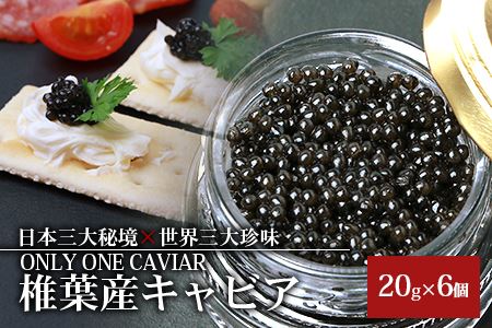 HEIKE CAVIAR 20g×６個 チョウザメ キャビア