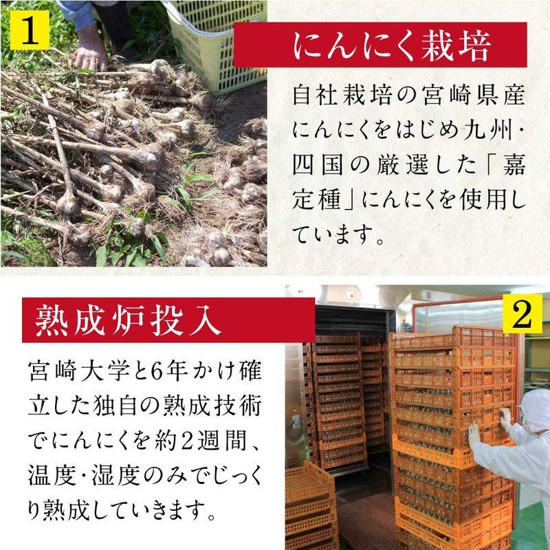 もみきの黒にんにく 宮崎県産黒にんにく「くろまる」 31片入2袋（約2ヶ月分）