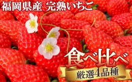 いただきいちご園の食べ比べセット 厳選4品種 ボリュームギフト 化粧箱入り