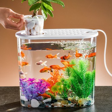 鬥魚缸 孔雀魚缸 透明塑料水培白蓋魚缸 加高款小魚缸 360度高透明 小型水族箱
