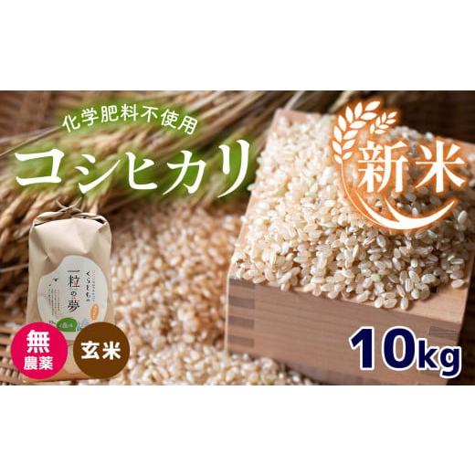 ふるさと納税 山口県 美祢市 無農薬・化学肥料不使用 コシヒカリ(玄米) 10kg