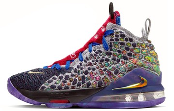 LEBRON 17 GS WHAT THE