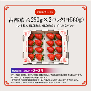 高級いちご「古都華」4Lサイズ以上２パック いちご 高級 古都華 4Lサイズ以上 280g × 2パック 約560g 深みのある濃厚な味わい ほどよい酸味 高い糖度 華やかな香り 美味しく甘い 光沢のある 濃いルビー色 フルーツ 果物 宙吊り包装 お取り寄せ 送料無料