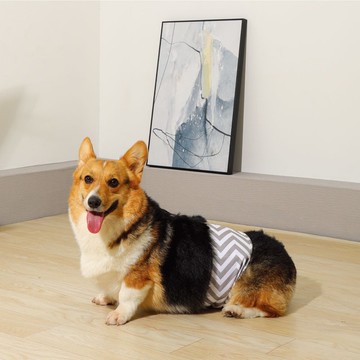 【MPETS】超強吸水性! 公狗可水洗禮貌帶(六個尺寸可選擇)