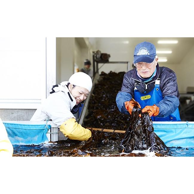 ふるさと納税 岩手県 陸前高田市 広田湾漁協からお届け！広田湾わかめ(塩蔵わかめ300ｇ×3)