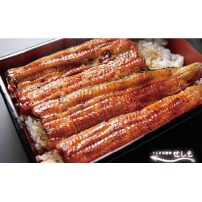 ふるさと納税 栃木市 国産ブランド鰻　共水うなぎのかば焼き　3串(約115g×3)タレ・山椒付き