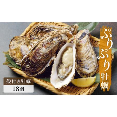 ふるさと納税 殻付き牡蠣 18個（生食用） 宮城県石巻市