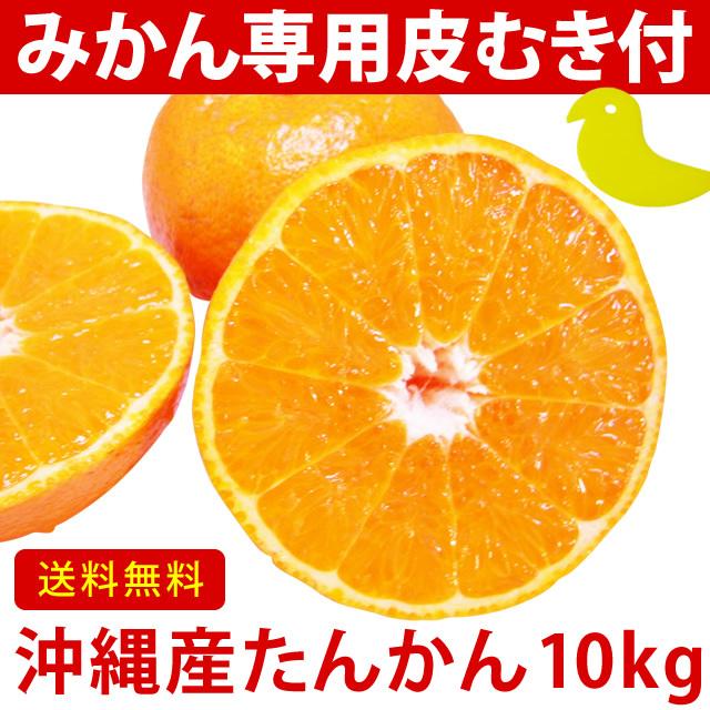 沖縄 たんかん＼タンカン専用皮むき付／沖縄産 タンカン 10kg (優品) 送料無料 産地直送！沖縄オレンジ(沖縄みかん)