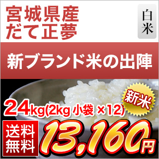 新米 令和5年(2023年)産 宮城県産 だて正夢 白米 24kg(2kg×12袋）