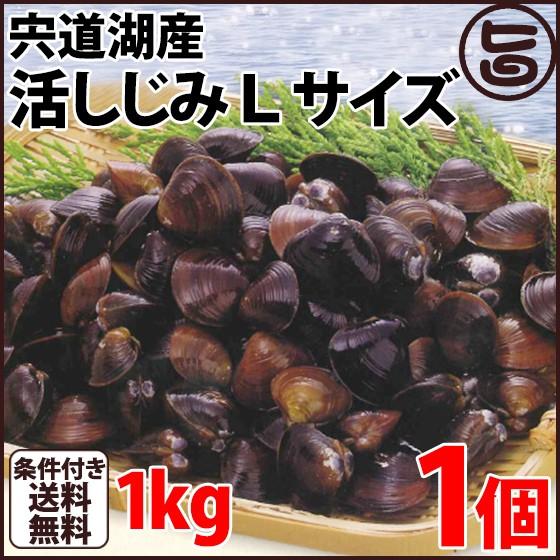 宍道湖産 活しじみＬ 殻高14〜16mm(砂はき済）1kg 島根県 中国地方 新鮮 シジミ 魚介類 専門店