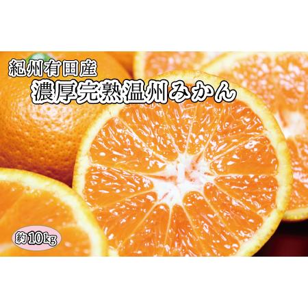 ふるさと納税 完熟有田みかん　10kg　※2023年11月下旬〜2024年1月下旬頃に順次発送予定(お届け日指定不可) 和歌山県太地町