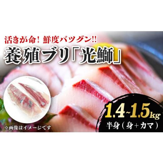 ふるさと納税 長崎県 西海市  養殖  ブリ 「光鰤」半身（ 刺身 用）1.4〜1.5kg＜小山水産＞ [CDZ001]