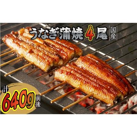 ふるさと納税 国産うなぎの蒲焼き(4尾) 福岡県飯塚市