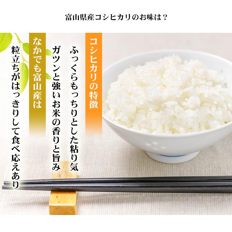 新米 お米 20kg 送料無料 白米 コシヒカリ 5kg×4袋 富山県産 令和5年産 お米 20キロ 食品 北海道・沖縄は追加送料